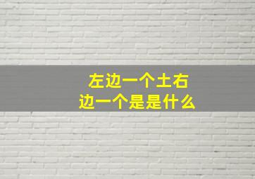 左边一个土右边一个是是什么