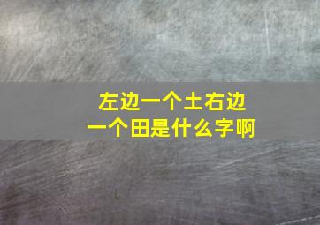 左边一个土右边一个田是什么字啊