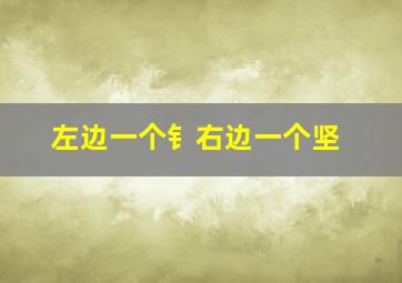 左边一个钅右边一个坚