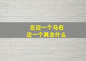 左边一个马右边一个其念什么