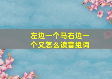 左边一个马右边一个又怎么读音组词