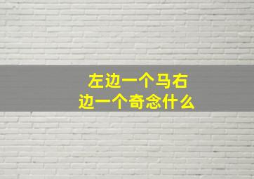 左边一个马右边一个奇念什么