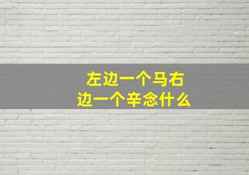 左边一个马右边一个辛念什么