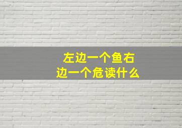 左边一个鱼右边一个危读什么