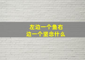 左边一个鱼右边一个坚念什么