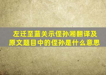 左迁至蓝关示侄孙湘翻译及原文题目中的侄孙是什么意思