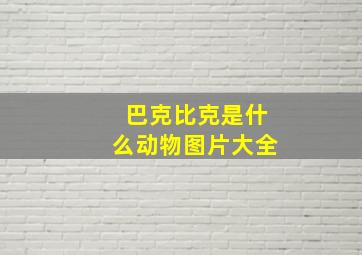 巴克比克是什么动物图片大全