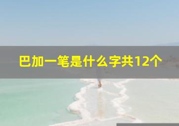 巴加一笔是什么字共12个