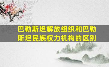 巴勒斯坦解放组织和巴勒斯坦民族权力机构的区别