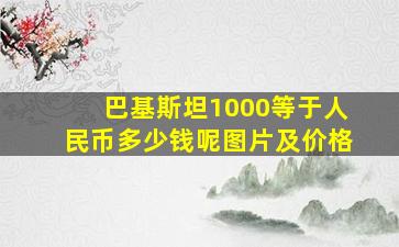 巴基斯坦1000等于人民币多少钱呢图片及价格