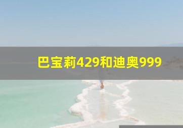 巴宝莉429和迪奥999