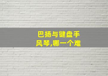 巴扬与键盘手风琴,哪一个难