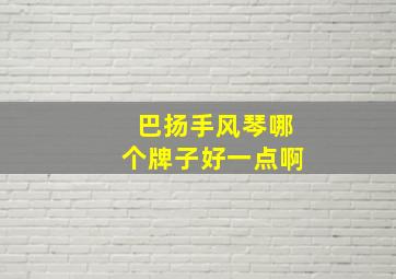 巴扬手风琴哪个牌子好一点啊