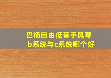 巴扬自由低音手风琴b系统与c系统哪个好