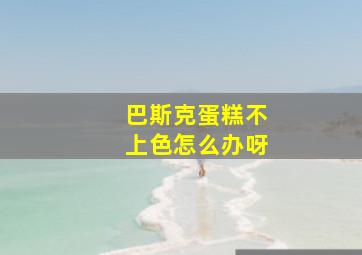 巴斯克蛋糕不上色怎么办呀