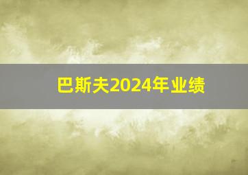 巴斯夫2024年业绩