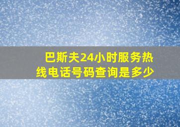 巴斯夫24小时服务热线电话号码查询是多少