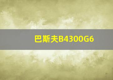 巴斯夫B4300G6