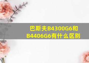 巴斯夫B4300G6和B4406G6有什么区别