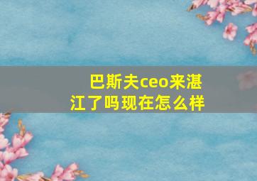 巴斯夫ceo来湛江了吗现在怎么样