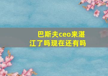 巴斯夫ceo来湛江了吗现在还有吗