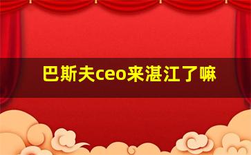 巴斯夫ceo来湛江了嘛