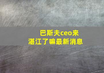 巴斯夫ceo来湛江了嘛最新消息