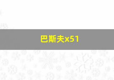 巴斯夫x51