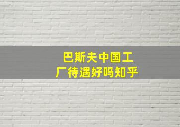 巴斯夫中国工厂待遇好吗知乎