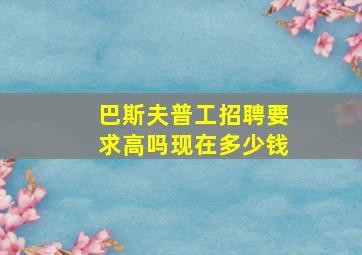 巴斯夫普工招聘要求高吗现在多少钱