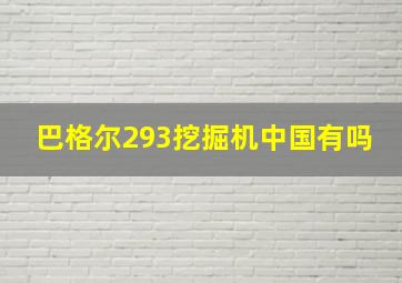 巴格尔293挖掘机中国有吗