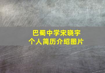 巴蜀中学宋晓宇个人简历介绍图片