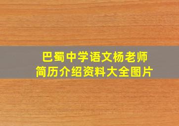 巴蜀中学语文杨老师简历介绍资料大全图片