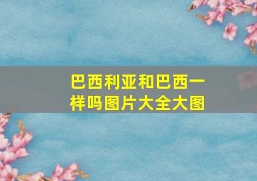 巴西利亚和巴西一样吗图片大全大图