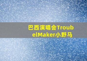 巴西演唱会TroubelMaker小野马