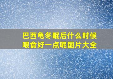 巴西龟冬眠后什么时候喂食好一点呢图片大全