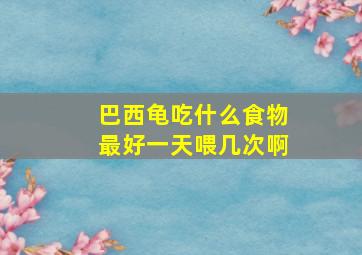 巴西龟吃什么食物最好一天喂几次啊