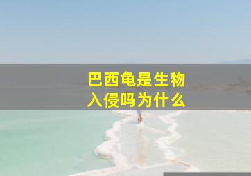 巴西龟是生物入侵吗为什么