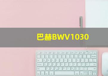 巴赫BWV1030