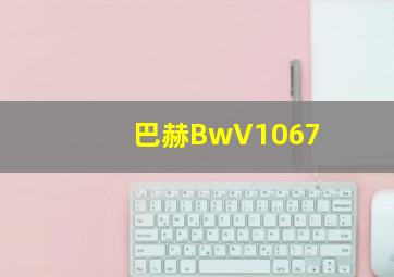 巴赫BwV1067