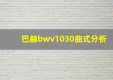 巴赫bwv1030曲式分析