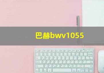 巴赫bwv1055