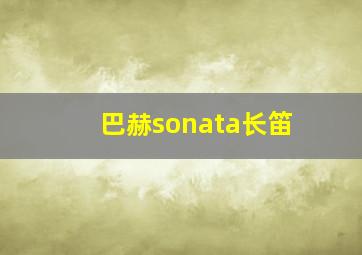 巴赫sonata长笛