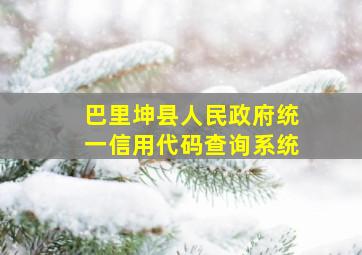 巴里坤县人民政府统一信用代码查询系统