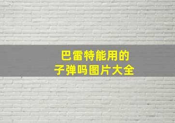 巴雷特能用的子弹吗图片大全