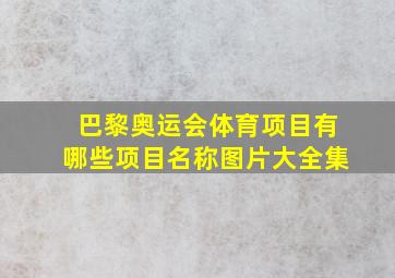 巴黎奥运会体育项目有哪些项目名称图片大全集