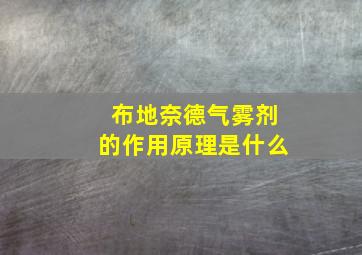 布地奈德气雾剂的作用原理是什么