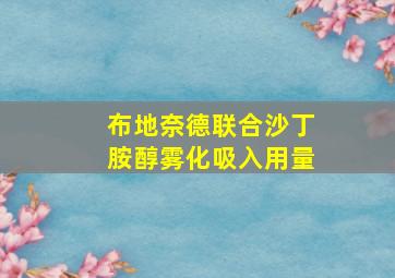 布地奈德联合沙丁胺醇雾化吸入用量