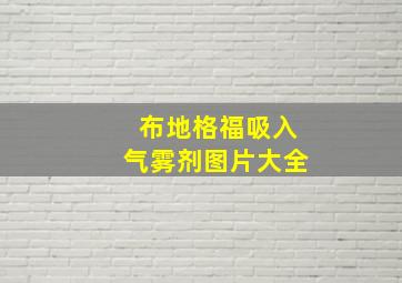 布地格福吸入气雾剂图片大全