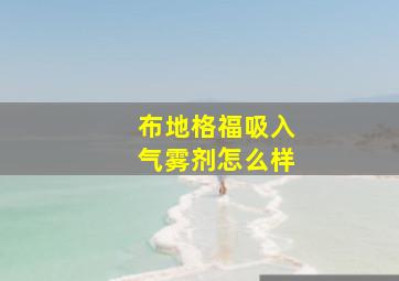 布地格福吸入气雾剂怎么样